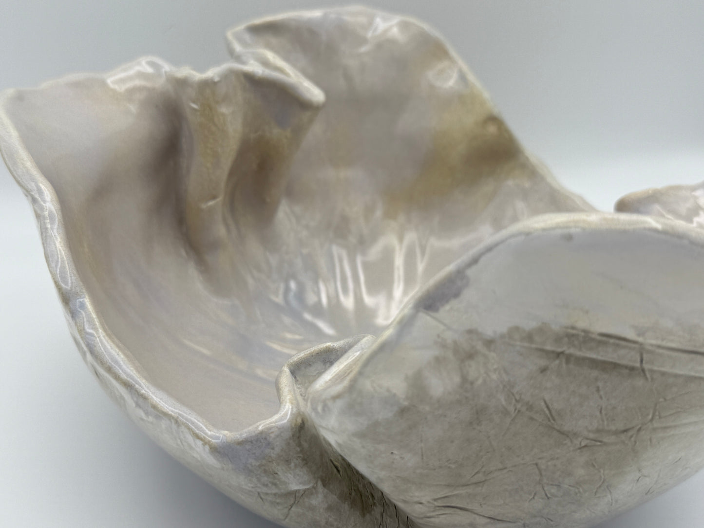 Cup Coral Bowl