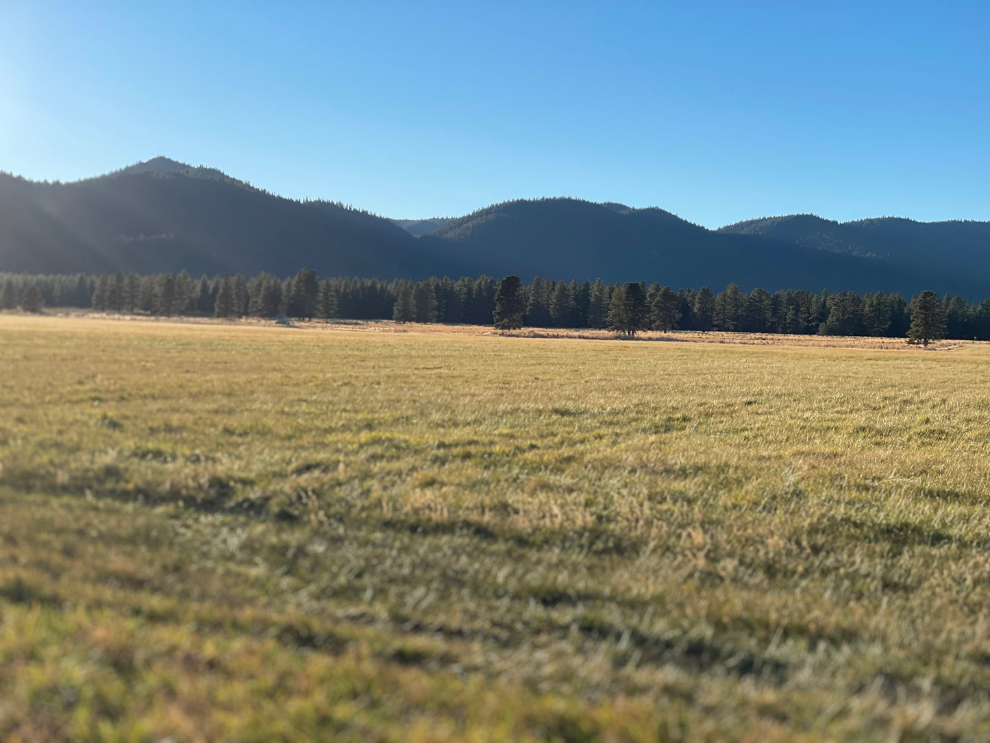 Landscape 10