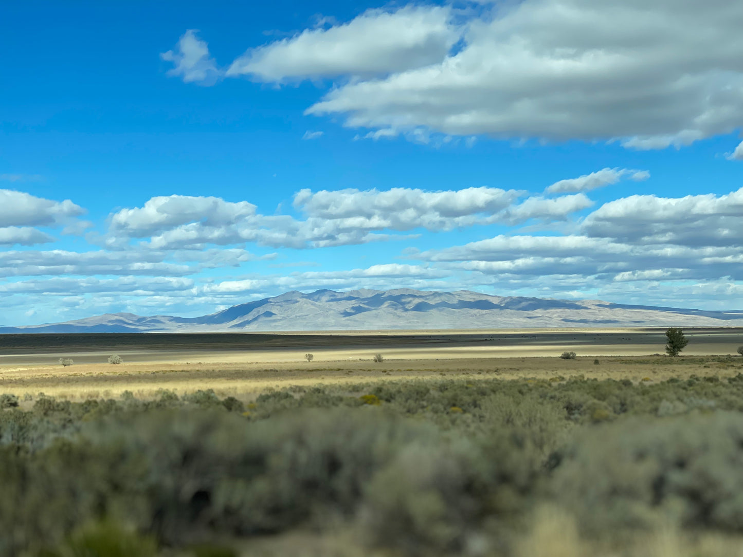 Landscape 21