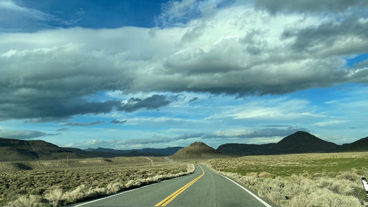 Landscape 4