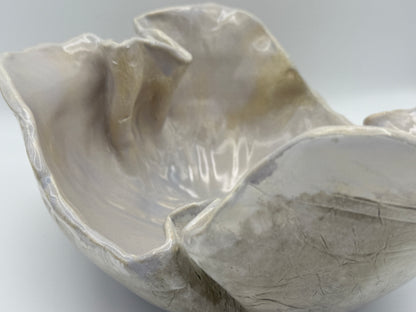 Cup Coral Bowl